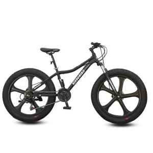 Fat Tire Bike for Distributors and Bike Shops
