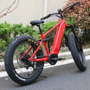 Fat Tire Bike full Suspension 4.8 Tyre Mountain Bike