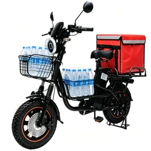 Fat Tire Delivery Cargo E-bike 1000W 60V20Ah Cold Proof LiFePO4 Battery for Russian Courier Business