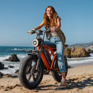 Fat Tire E-Bike Electric Cruiser Bike
