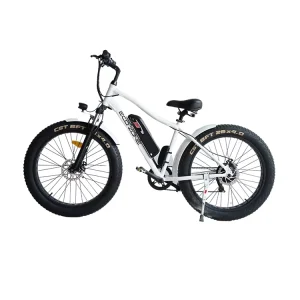 Fat Tire E Bike Mountain E Bicycle Full Suspension China Electric Bicycle