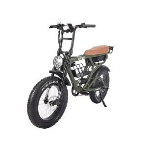Fat Tire Ebike Full Suspension Electric Mountain Bike Adult 48v 1000w Fat Bicycle