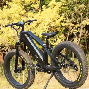 Fat Tire Electric Bike 1000w Fat Tire Ebike Mountain Electric Bicycle with Dual Battery