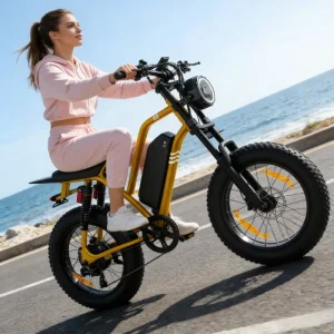 Fat Tire Electric Bike 20 Inch Rear Hub Brushless 1500W 48V Lithium Battery 20Ah 7 Speed Foldable Disc Brakes Adults Dual