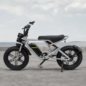 Fat Tire Electric Bike Aluminum Alloy Frame Lithium Battery 750W 41km h Full Suspension Hydraulic Disc Brake Complete Bike