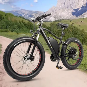 Fat Tire Electric Bike Dual Motor Fat Ebike 1000W 1500W E Bike 2000W 5000W Electric Bicycle