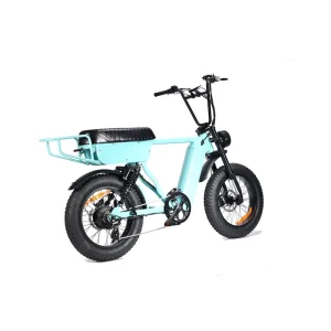 Fat Tire Electric Bike Electric Fat Tire Bike 20 Inche Fat Bike 750w 48V Full Suspension Ebike Fat Tire E bikes Rothar Leitreach