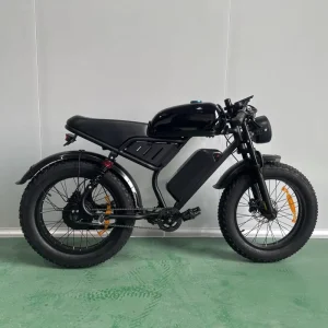 Fat Tire Electric Bike High Speed 42km/h Hybrid Adult Electric Bike with tank