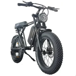 Fat Tire Electric Bike Long Distance All Aluminum Electric Bike Mountain Bike Adults Off Road