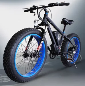 Fat Tire Electric Bike for Sale