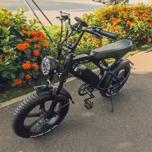 Fat Tire Electric City Bike EU Warehouse 20 Inches Factory Supply