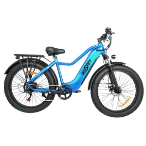 Fat Tire Electric Mountain Bike Flat Tire Snow Bike Beach Off road Electric Bike
