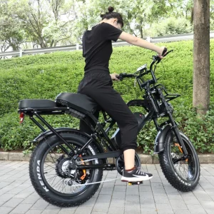 Fat Tire Fatbike X80 Pro Price Electr Bike X80 Mtb Big Tyre Bike Ebike Retro Electric Bicycle X80 Pro Electric Bike