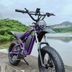 Fat Tire Mountain Bicycle for Adult Rear Engine 1000W 48V 20″ Big Tires 2 Wheel E Bike EU Warehouse Full Suspension