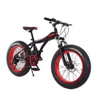 Fat Tire Snow Bike