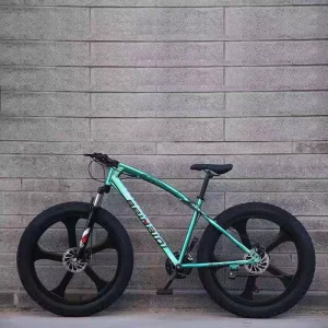 Fat Tire Snow Bike Double Disc Brake 26 Inch Mountain Bicycle Beach Bike for Adult