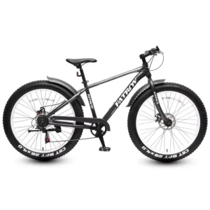 Fat Tire Snow Bike for Sale Private Label Bicycle for Men