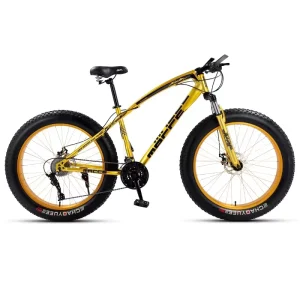 Fat Tyre Bike 4.0 Tire Size Fat Snow Bicycle