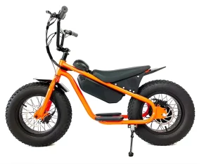 Fat Tyre Electric Bike 48V 500W 73 4.0 Electric Fat Bike for Kids 16 Inch Fat Tyre Off Road Ebike