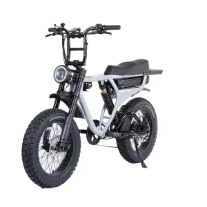 Fat Tyre Sport Ebike 1000W EMTB off Road Full Suspension Enduro Lithium Battery Rear Hub Motor Mountain Bike