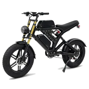 Fatbike Electric City Bike Lithium Battery Waterproof Rear Hub Motor Ebike Drop Shipping