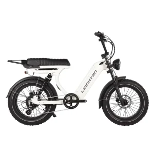 Female Cycle Bike Big Power for Sale with Big Capacity Battery Fat Tire Ebike Electric Bike