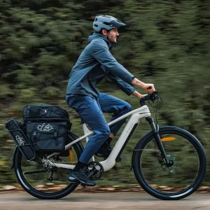 Fiido Nomads Touring E Bike 250W Motor 36V 11.6AH Battery 29inch Wheels Torque Sensor Hydraulic Disc Brake Ebike
