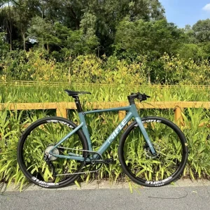 Flat Handle Road-trail Bike Variable Speed Disc Brake Ultra-light Aluminum Alloy Gravel Bike Gravel 700C