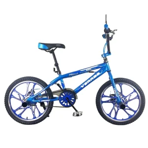 Flatland Racing BMX Bicycle for Adults