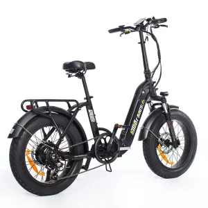 Folding E Bike Powerful 20 Inch Fat Tire 48V 500W 750W Foldable Ebike Electric Bike for Adults