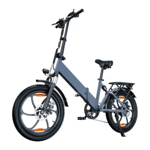 Folding Electric Bicycle 700W High Power Motor LCD Dashboard Explosion proof Wide Tire New Standard Foldable E Bike