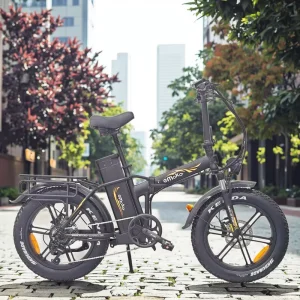 Folding Electric Bike 7-Speed Removable Lithium Battery Brushless Rear Hub 750W 48V Steel Frame Hydraulic Disc Brakes 20″ Wheels