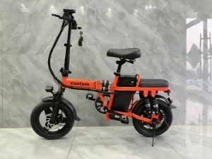 Folding Electric Bike Adults High Speed Long Range Rear Hub Motor Foldable Bicycle Electric Bike
