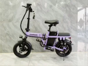 Folding Electric Bike High Carbon Steel Folding Electric Bicycle for Adults