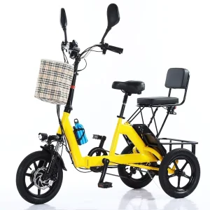 Folding Electric Tricycle for Adults 3-Wheel Pedal Assist Bike with Lithium Battery