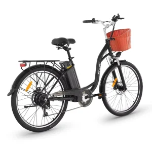 For DYU C6 Electric City Bike with Rear Hub Motor 36v Low Cost US Warehouse for Drop Shipping