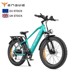 For ENGWE E26 26-Inch All-Terrain Electric City Bike with 48V 16Ah Dual Suspension 250W Motor Power