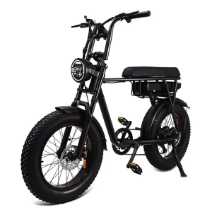 For EU Warehouse 20inch 250W Lithium Battery Fat Bike Electric Bike for Adults with Aluminum Alloy Frame and 7-Speed