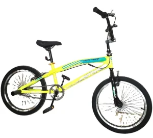 Freestyle 20inch Bicycle Men Customized Painting Street Single Speed Bmx Bike High Carbon Steel 20 Inch Comfortable 1.2