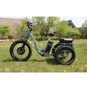 Front 24” Rear 20” Fat Tire Three Wheel Electric Bike Cargo Trike Pedal Assist Electric Tricycle