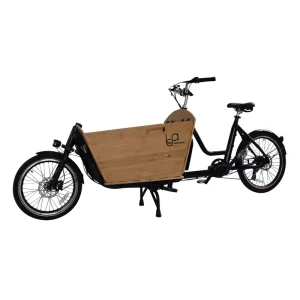 Front Kids Baby Seats Electric Family Cargo Bikes with Rain Cover Two Wheel Ebike Electric Tricycles