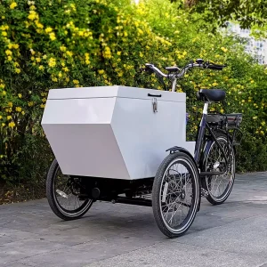 Front Loading Box Pedal Assist Cargo Bike Electric Three Wheel Cargobike