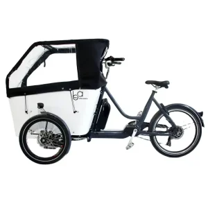 Front Loading City Ebike Bicycle 3 Wheel Electric Cargo Bike bakfiets cargobike Trailer E cargo Bike Front Load Cargo passenger