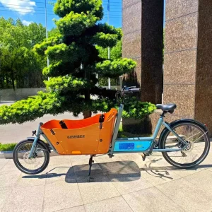 Front Loading Electric Cargo Bike with Rear Hub Motor 150kg Capacity for Adults Traveling Kids & Pet Goods