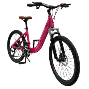 Full Aluminum Alloy Mountain Bicycles Suspension Fork Mountain Bikes