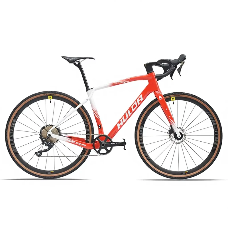 Full Carbon Frame 700C Road Bike 10 Speed with Hydraulic Disc Brake and Aluminum Alloy Fork — LOONG BICYCLE B2B model