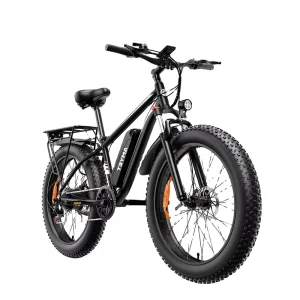 Full Suspension Fat Tire E Bike 1000w Motor 7 speed High Speed Adventure Electric Bikes with Date Display Screen
