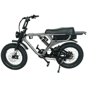 Full Suspension Fat Tire Electric Bike Colorful Screen Step Over Fat Bike