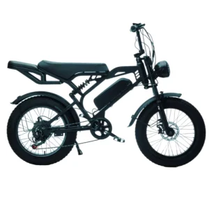 Full Suspension Mountain Fat Ebike 750w Rear Hub Motor Lithium Battery 20″ Electric Dirt Bike Adult