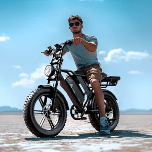 Full Suspension R002 20”*4.0 250W Electric Bike with Rear Hub Motor 48v Vintage Fat Tire Bike Power Supply Lithium Battery